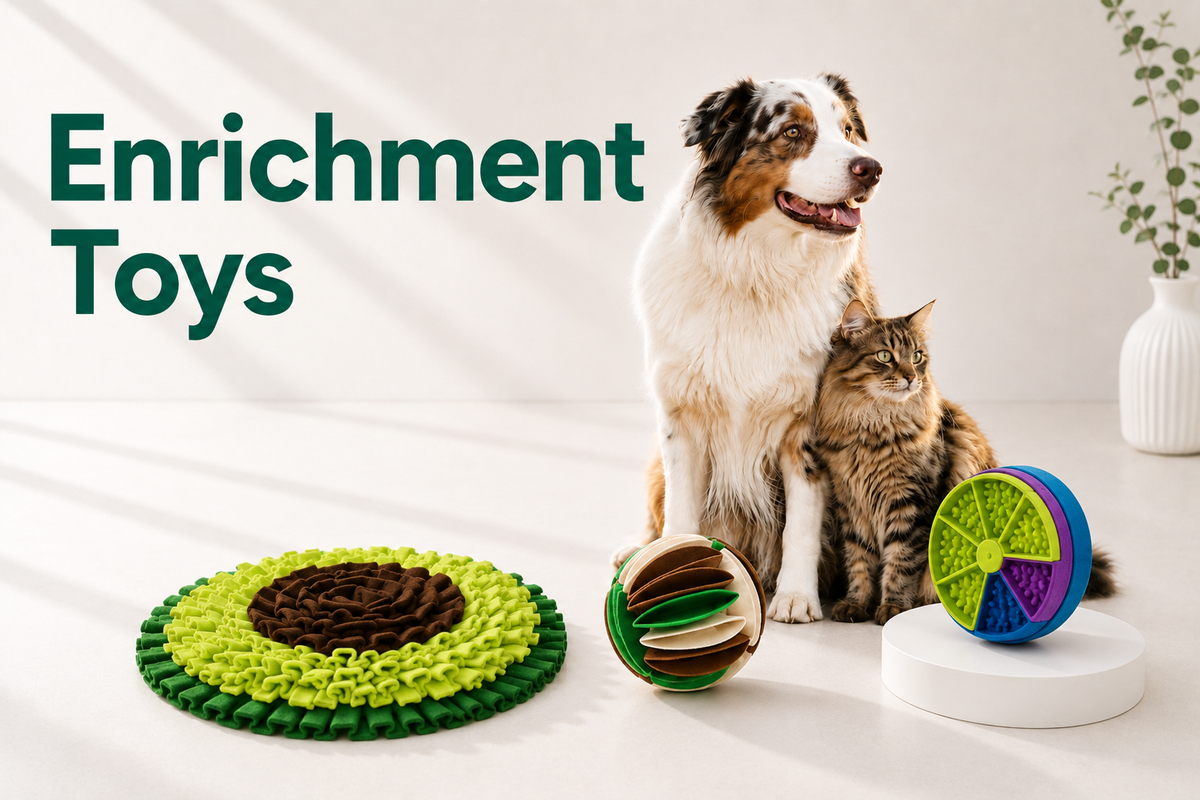 Enrichment Toys