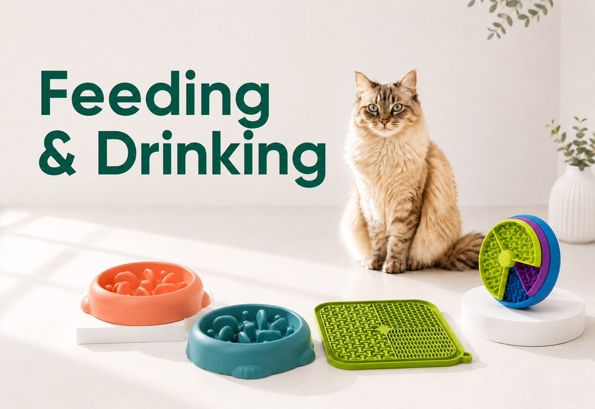 Feeding & Drinking