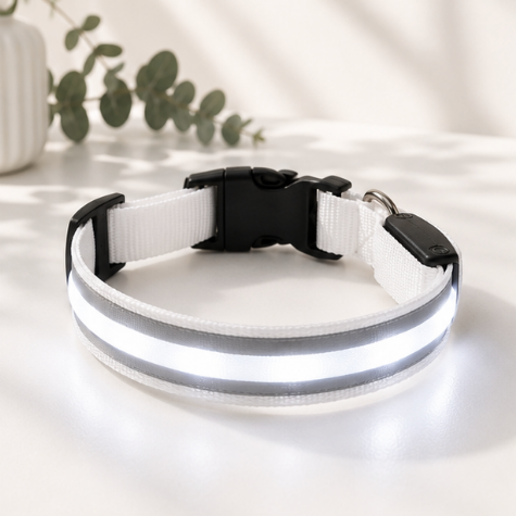 Pawsome LED Safety Collar