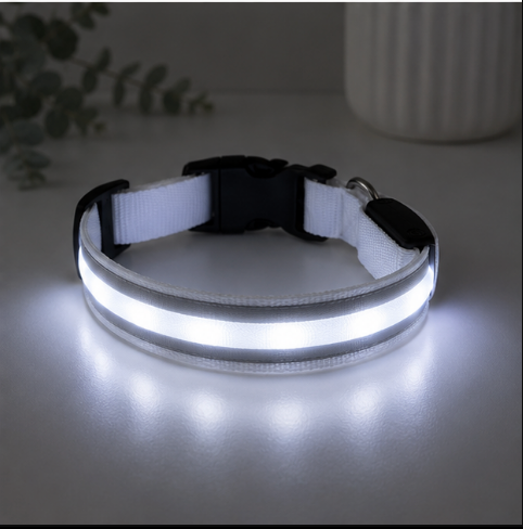 Pawsome LED Safety Collar