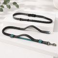 Pawsome Hands Free Leash