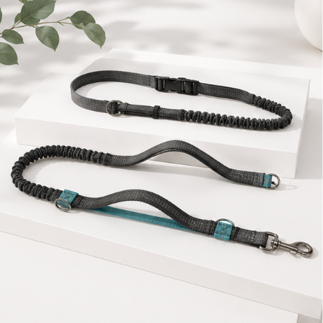 Pawsome Hands Free Leash