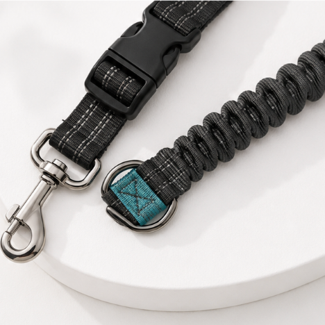 Pawsome Hands Free Leash