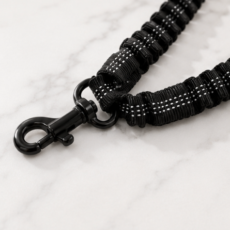 Pawsome Bungee Leash & Seatbelt Clip