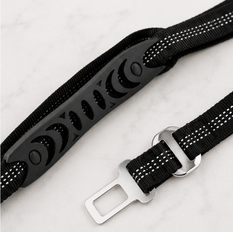 Pawsome Bungee Leash & Seatbelt Clip