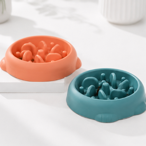 Pawsome Anti-Gulping Feeder Bowl