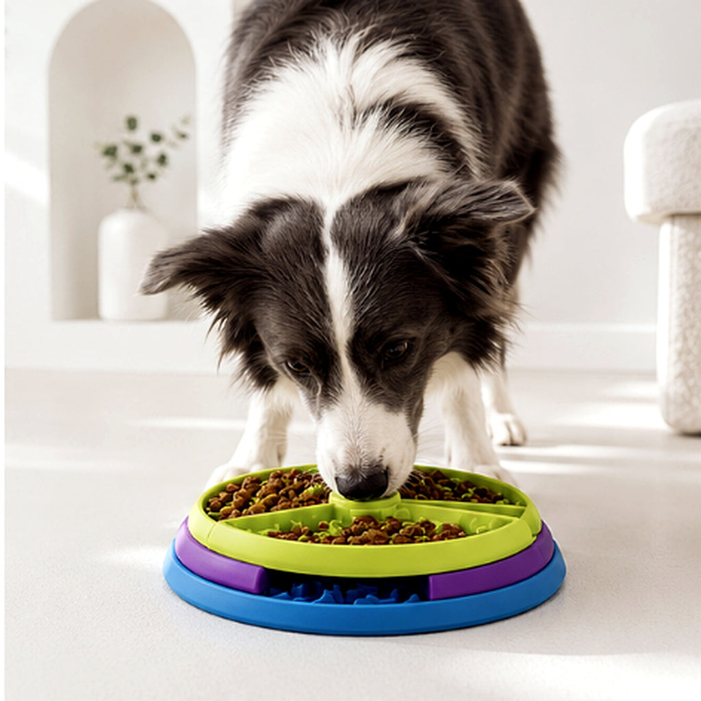 Pawsome Rotating Puzzle Feeder